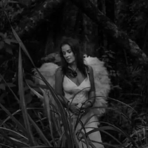 ddb8f467-0ab8-4781-9550-9d2df7b5dcaa